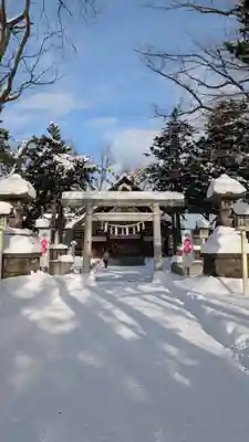 新琴似神社の初詣