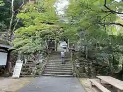 大窪寺の自然