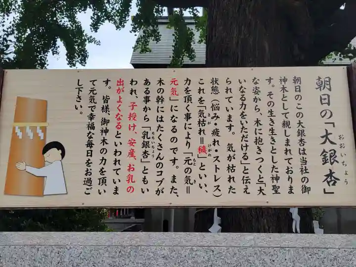 朝日氷川神社(埼玉県)