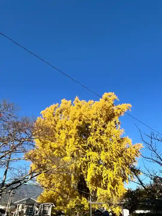 丹生酒殿神社(和歌山県)
