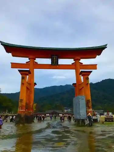 厳島神社の鳥居