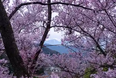 新城藤原神社(長野県)