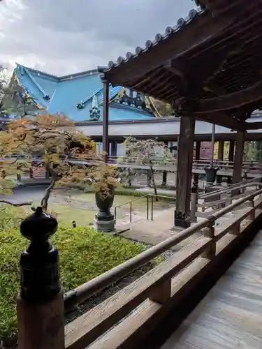 妙法寺(東京都)