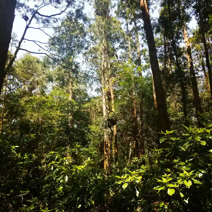 鹿島神宮の自然