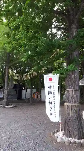 星置神社の自然