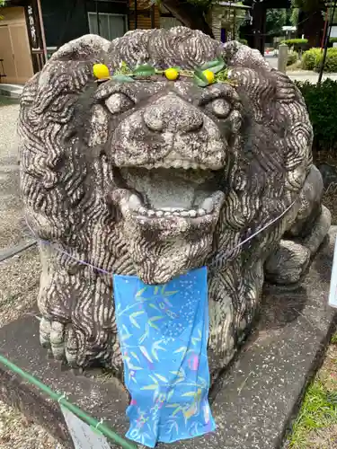 京都乃木神社の狛犬