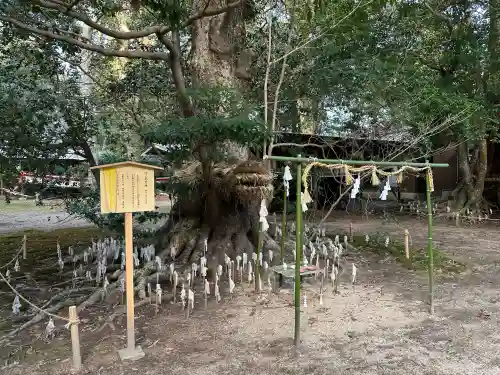 阿太加夜神社の{uncategorized: "未分類", other: "その他", undefined: "問題あり", building: "その他建物", grave: "お墓", sacred_gate: "鳥居", guardian: "狛犬", statue: "像", buddha: "仏像", history: "歴史", nature: "自然", garden: "庭園", animal: "動物", pagoda: "塔", temizu: "手水舎", mountain_gate: "山門・神門", sanctuary: "本殿・本堂", subordinate: "末社・摂社", art: "芸術", scenery: "景色", jizo: "地蔵", ema: "絵馬", goshuin: "御朱印", omikuji: "おみくじ", items: "授与品その他", amulet: "お守り", goshuincho: "御朱印帳", eats: "食事", festival: "お祭り", votive_dance: "神楽", shichigosan: "七五三参", wedding: "結婚式", experience: "体験その他", initially: "初詣", around: "周辺", anti_infection: "感染症対策"}