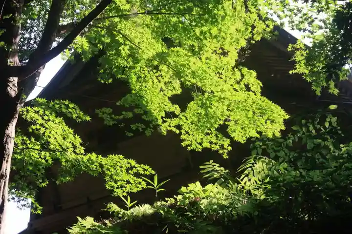 三春大神宮の自然