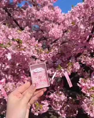 桜神宮(東京都)