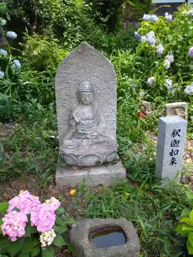 般若寺 ❁﻿コスモス寺❁(奈良県)