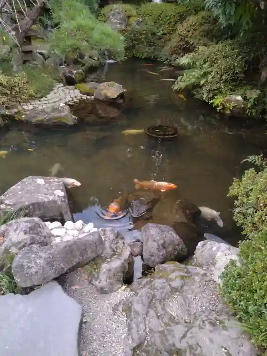 金蛇水神社(宮城県)