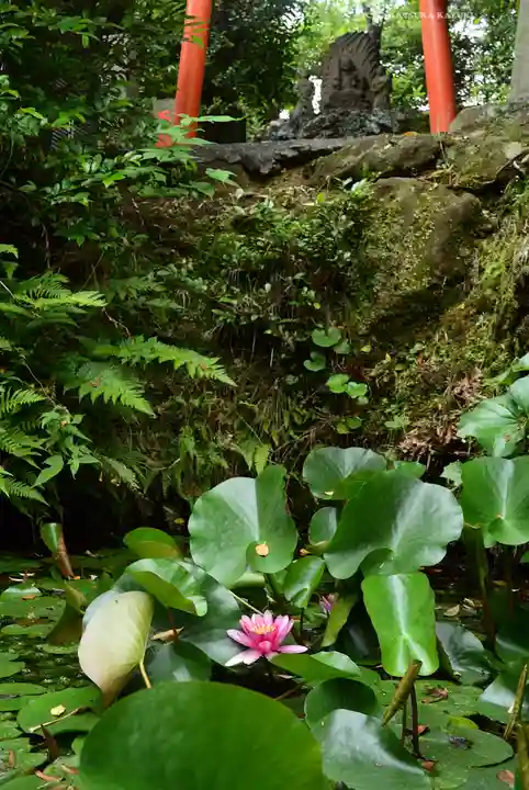 横浜御嶽神社(神奈川県)