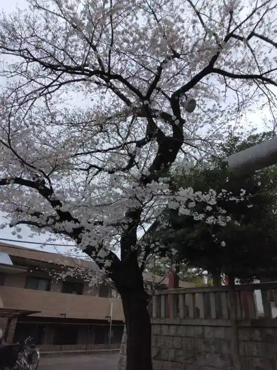 瀬田玉川神社(東京都)
