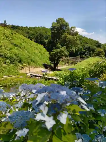 塩澤山 寳光寺の庭園