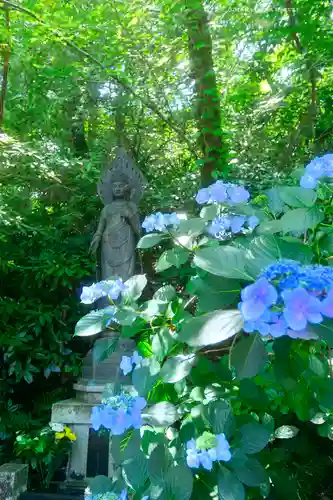 高幡不動尊　金剛寺(東京都)
