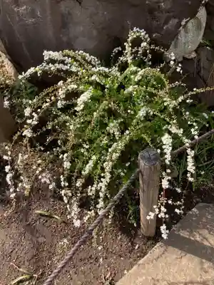 常泉寺(神奈川県)