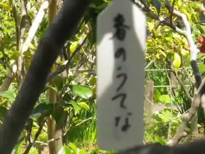 大巧寺(神奈川県)