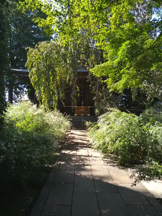 金蔵院(東京都)