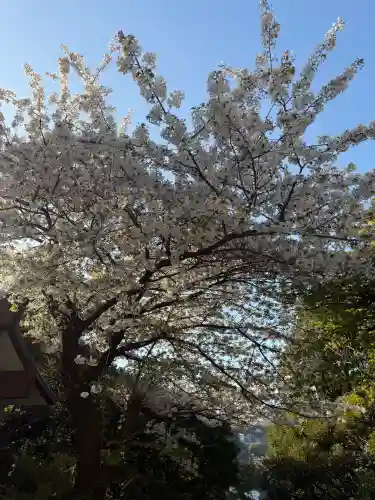 貴船神社の{uncategorized: "未分類", other: "その他", undefined: "問題あり", building: "その他建物", grave: "お墓", sacred_gate: "鳥居", guardian: "狛犬", statue: "像", buddha: "仏像", history: "歴史", nature: "自然", garden: "庭園", animal: "動物", pagoda: "塔", temizu: "手水舎", mountain_gate: "山門・神門", sanctuary: "本殿・本堂", subordinate: "末社・摂社", art: "芸術", scenery: "景色", jizo: "地蔵", ema: "絵馬", goshuin: "御朱印", omikuji: "おみくじ", items: "授与品その他", amulet: "お守り", goshuincho: "御朱印帳", eats: "食事", festival: "お祭り", votive_dance: "神楽", shichigosan: "七五三参", wedding: "結婚式", experience: "体験その他", initially: "初詣", around: "周辺", anti_infection: "感染症対策"}