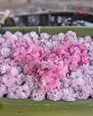 立志神社(滋賀県)