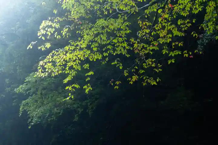 天安河原宮(宮崎県)