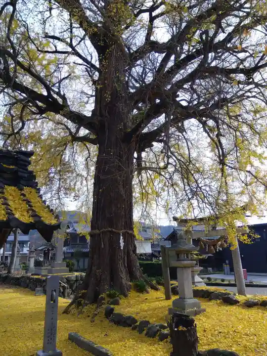 天川命神社(滋賀県)
