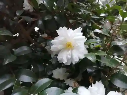 東蕗田天満社の自然