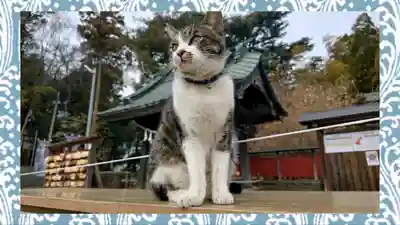 前玉神社(埼玉県)