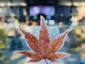 天台宗 長窪山 正覚寺(神奈川県)(2021年12月23日(木) 14時51分18秒投稿)