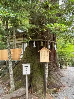 丹生川上神社（中社）(奈良県)