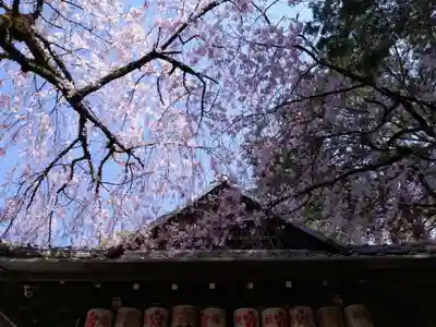 水火天満宮(京都府)