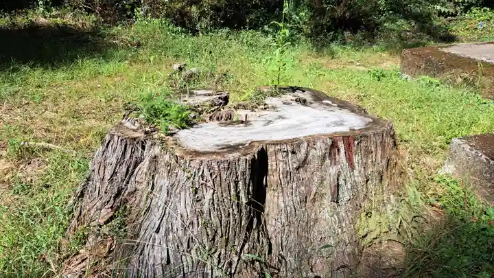 延喜式内 鹿島神社(福島県)
