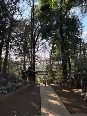 中新宿富士浅間神社(千葉県)