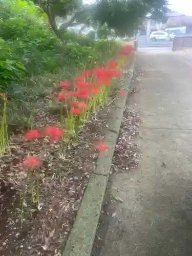 法岩院(千葉県)
