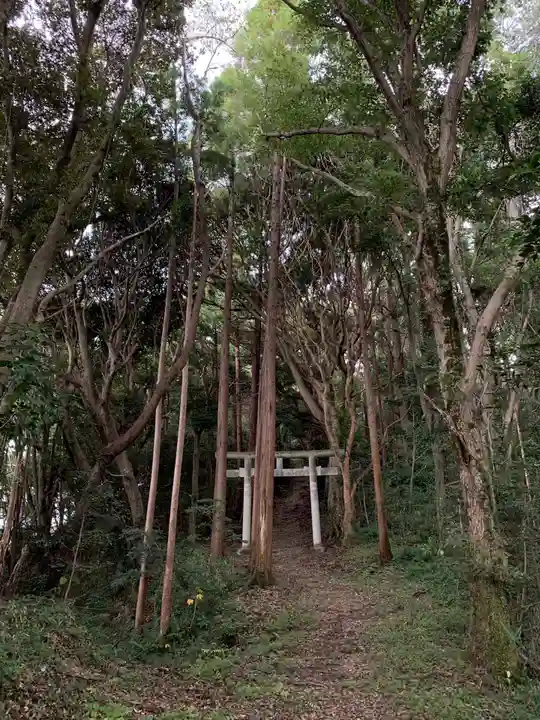 龍田神社の鳥居
