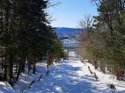 上川神社の景色