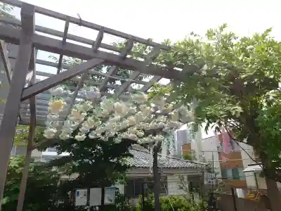 駒込妙義神社(東京都)