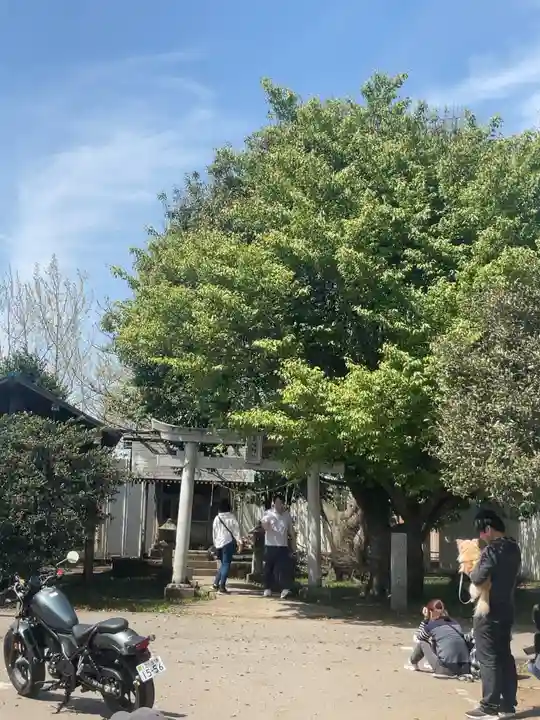 東峰神社(千葉県)