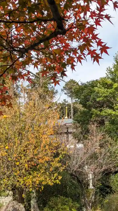海印寺寂照院(京都府)