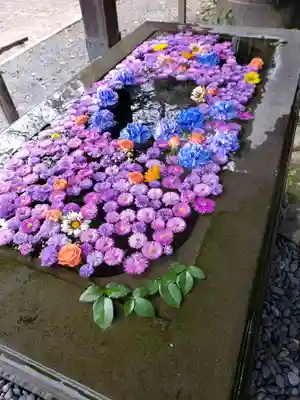 前玉神社の手水舎