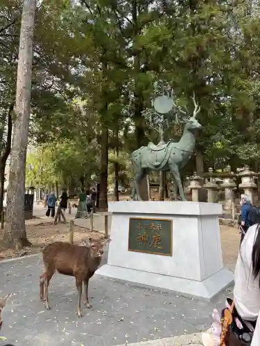 春日大社の{uncategorized: "未分類", other: "その他", undefined: "問題あり", building: "その他建物", grave: "お墓", sacred_gate: "鳥居", guardian: "狛犬", statue: "像", buddha: "仏像", history: "歴史", nature: "自然", garden: "庭園", animal: "動物", pagoda: "塔", temizu: "手水舎", mountain_gate: "山門・神門", sanctuary: "本殿・本堂", subordinate: "末社・摂社", art: "芸術", scenery: "景色", jizo: "地蔵", ema: "絵馬", goshuin: "御朱印", omikuji: "おみくじ", items: "授与品その他", amulet: "お守り", goshuincho: "御朱印帳", eats: "食事", festival: "お祭り", votive_dance: "神楽", shichigosan: "七五三参", wedding: "結婚式", experience: "体験その他", initially: "初詣", around: "周辺", anti_infection: "感染症対策"}