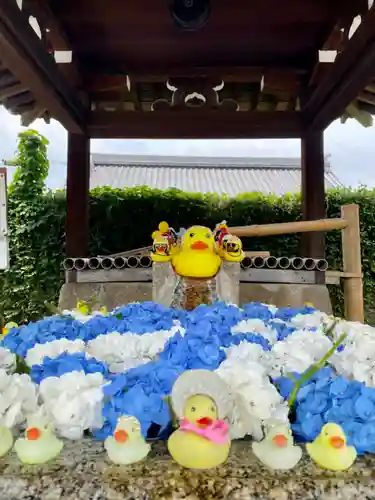 くろ谷 金戒光明寺の手水舎