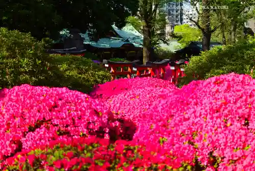 根津神社の自然