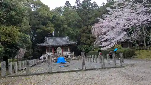 醍醐寺(京都府)