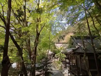正法寺(滋賀県)