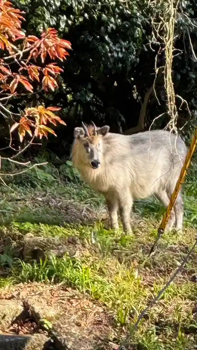 宝珠山 立石寺(山形県)