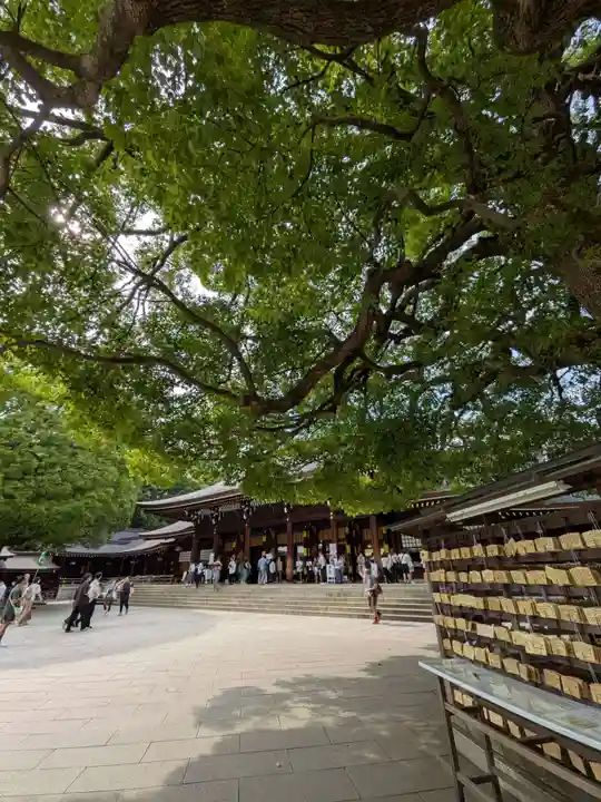 明治神宮(東京都)