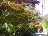 海蔵寺のその他建物