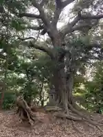 三峰神社(千葉県)