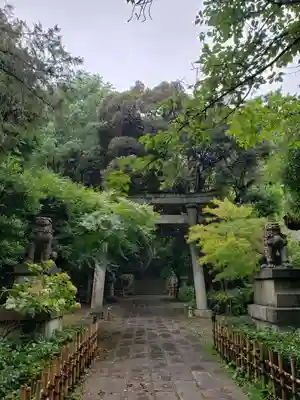 赤坂氷川神社の鳥居
